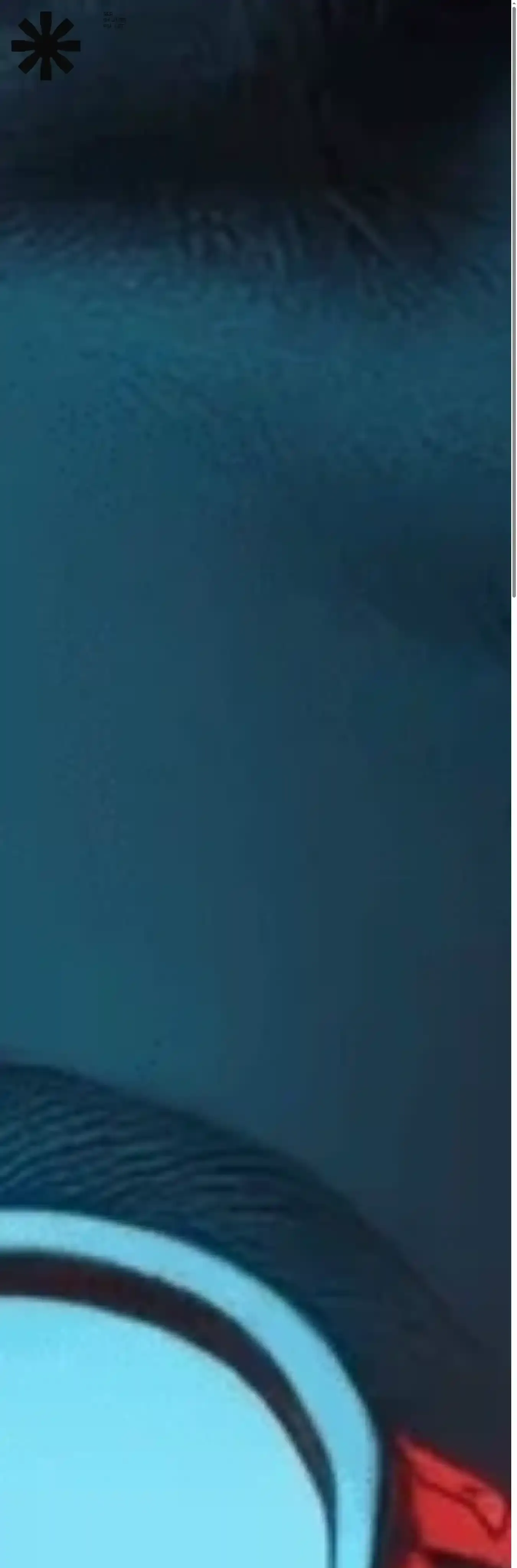 ISO home page on desktop