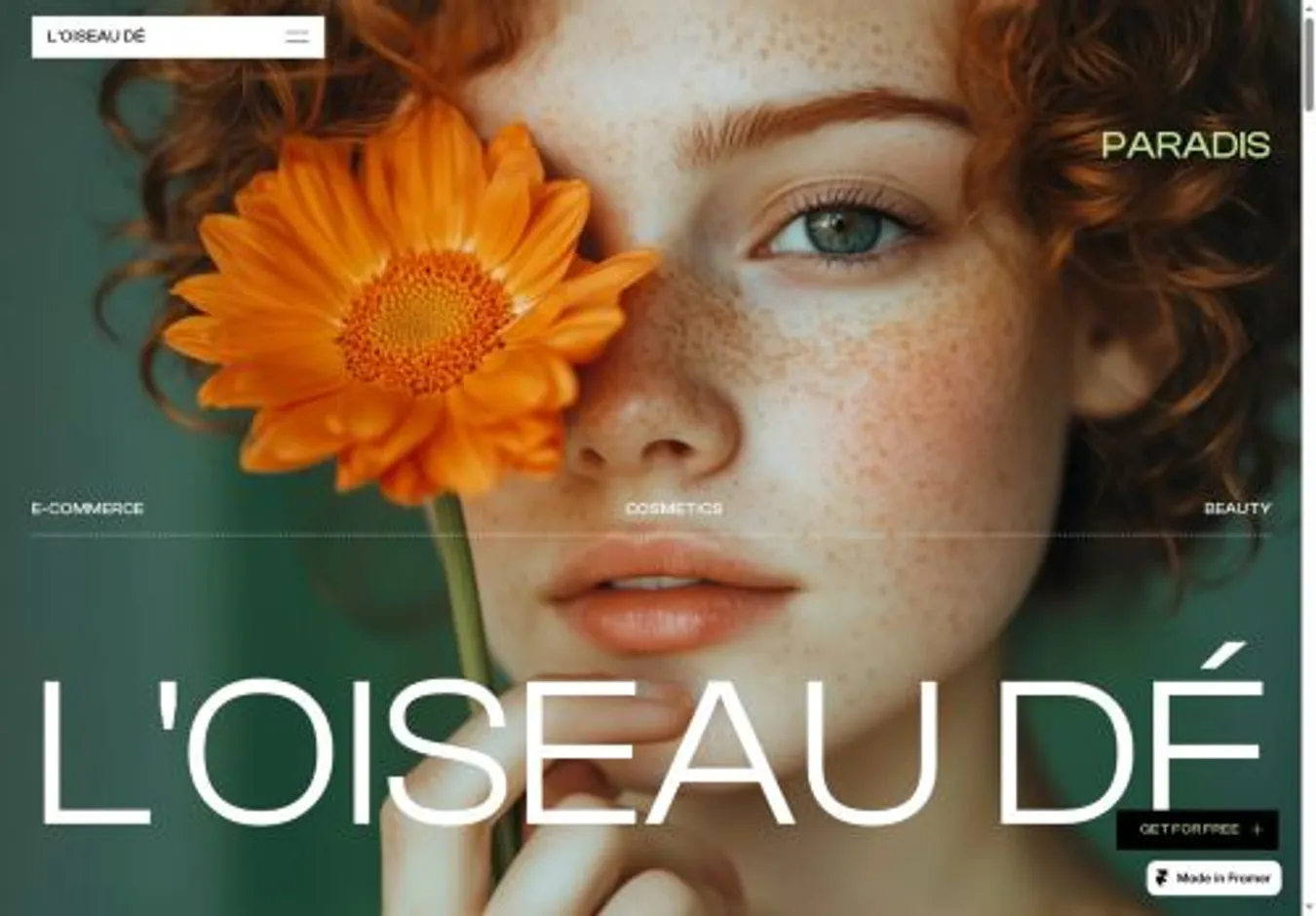 L'OISEAU DÉ home page on desktop