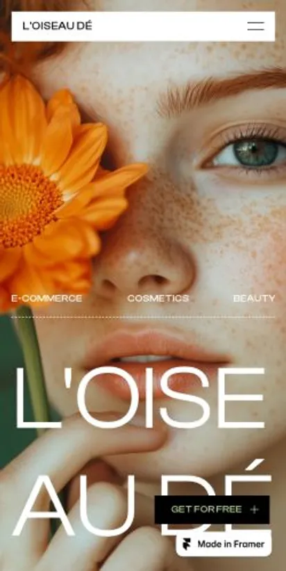 L'OISEAU DÉ home page on mobile