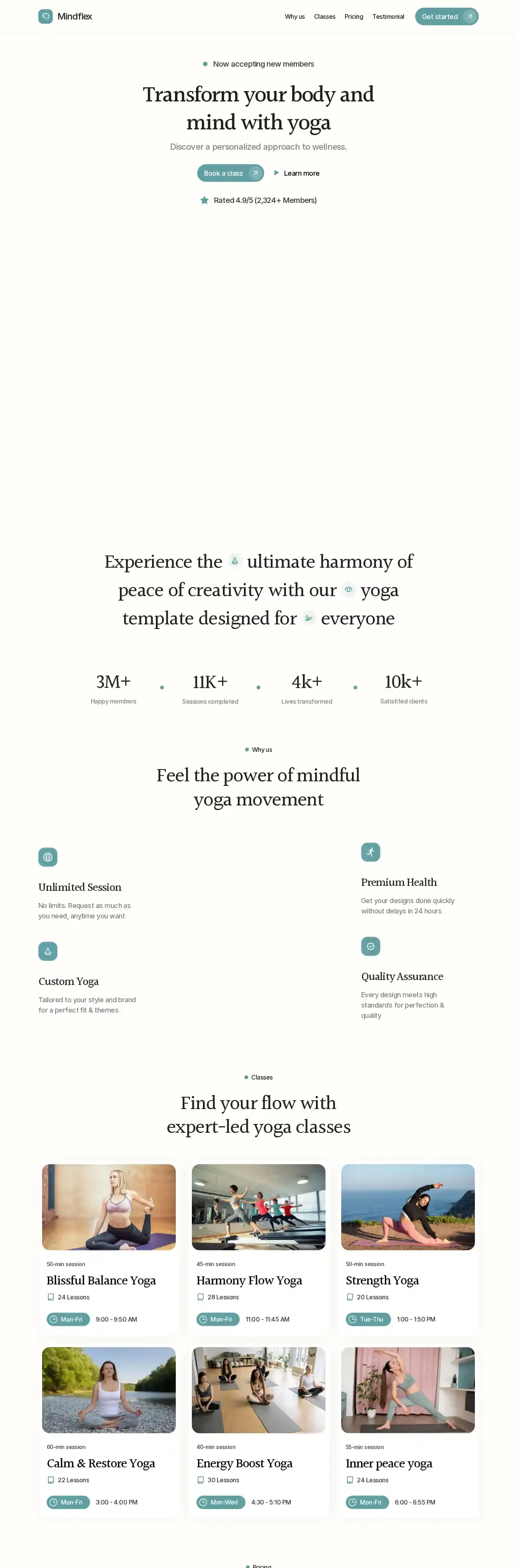 Mindflex home page on desktop