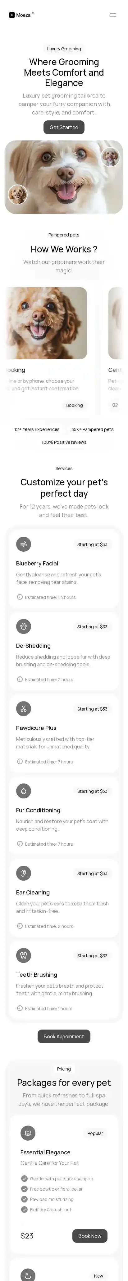Moeza home page on mobile