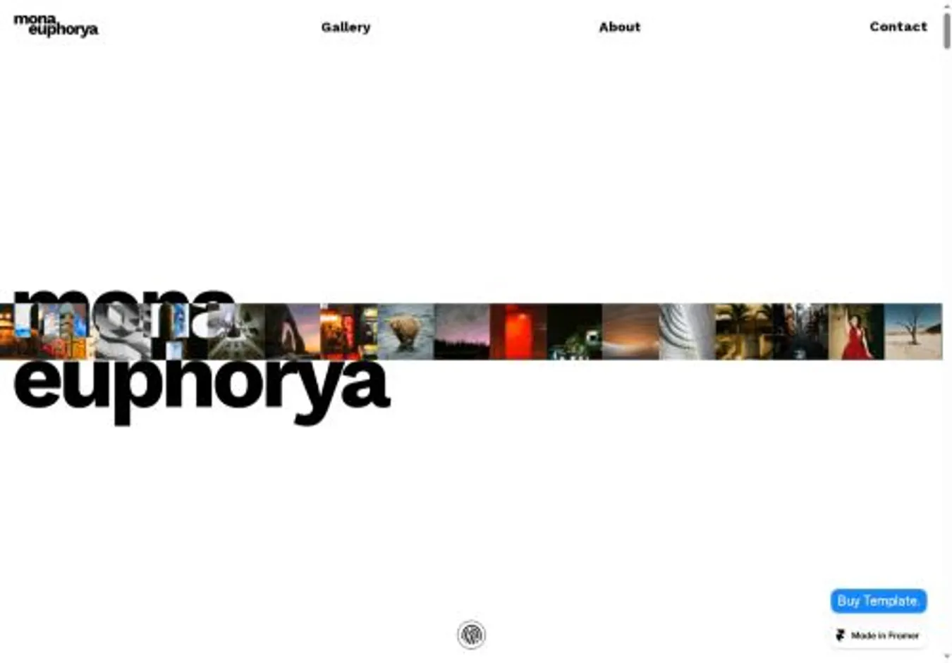 Mona Euphorya lite 1 home page on desktop