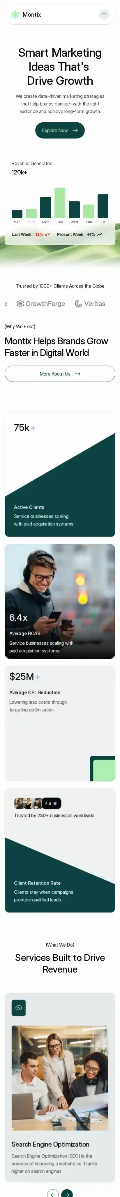 Montix home page on mobile
