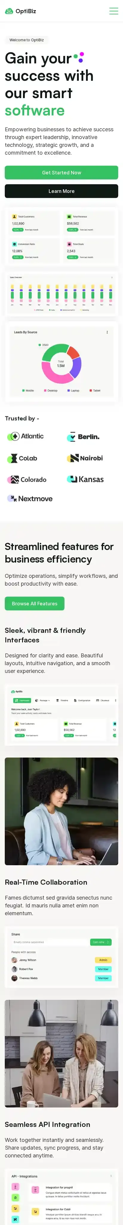 Optibiz home page on mobile