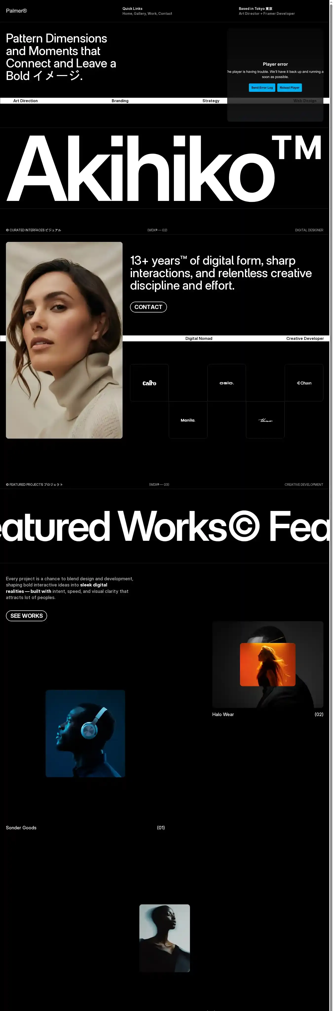 Palmer home page on desktop
