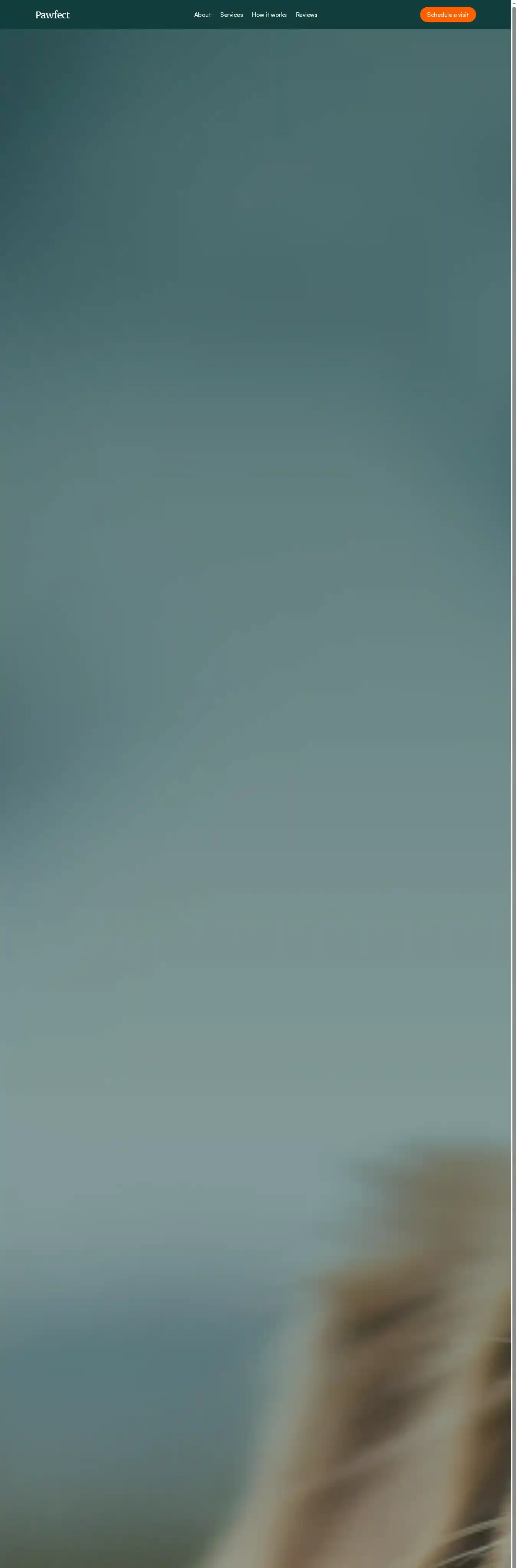 Pawfect home page on desktop