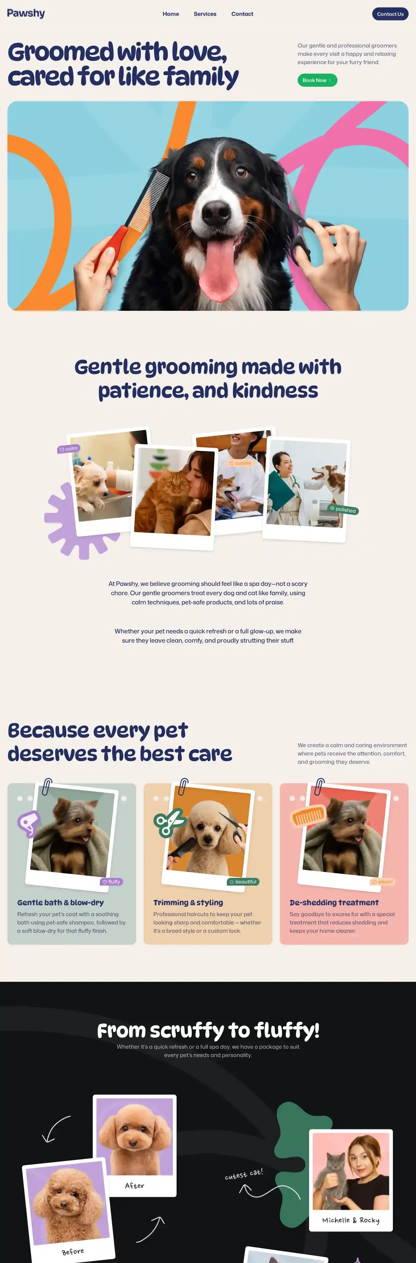 Pawshy home page on desktop