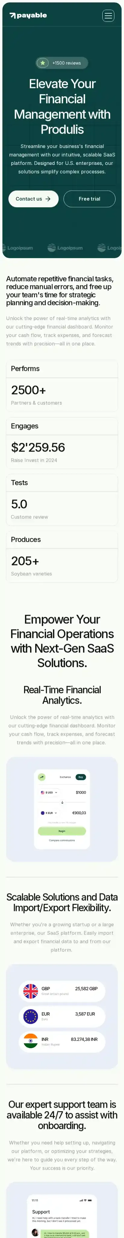 Payable home page on mobile