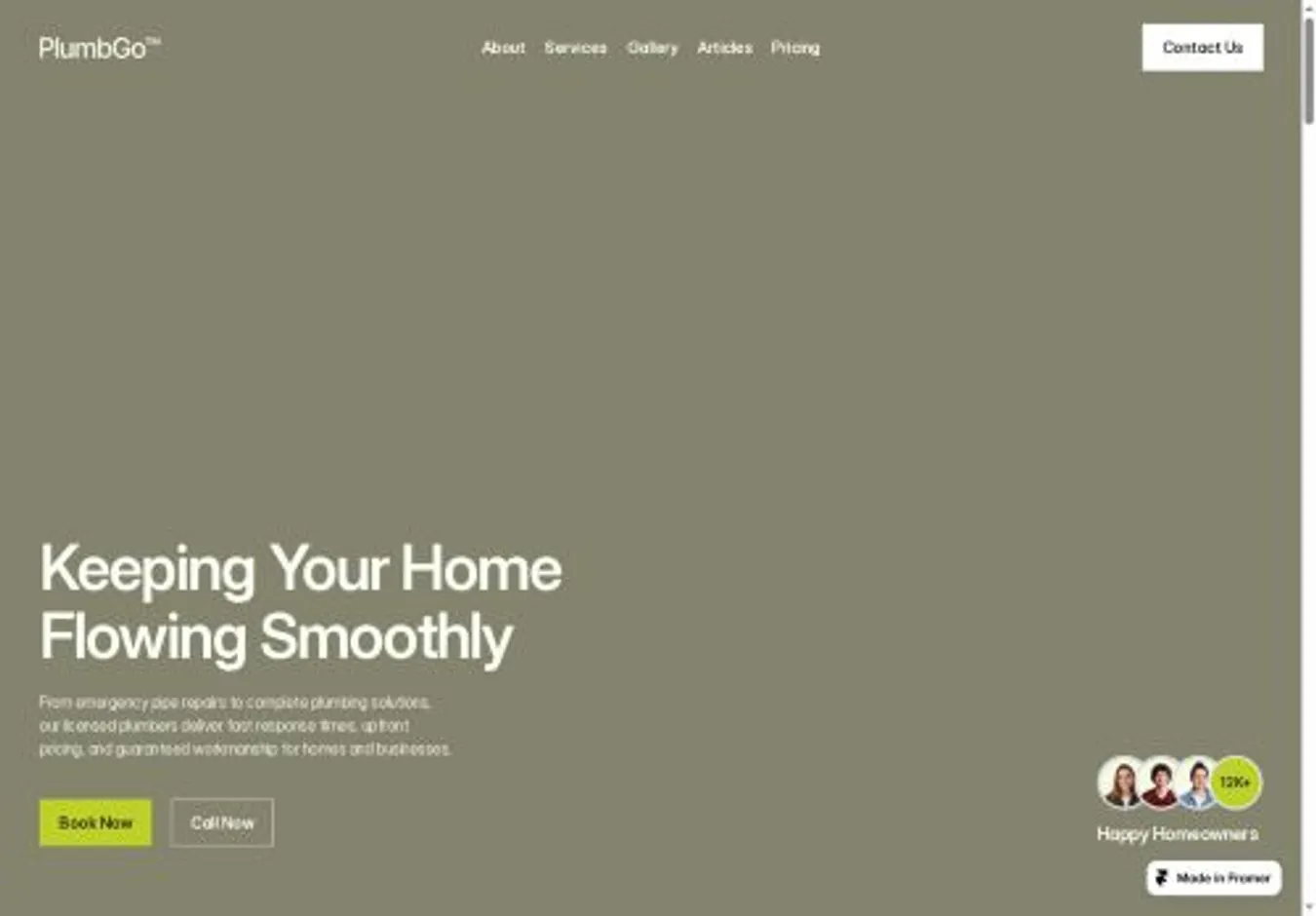 PlumbGo™ home page on desktop