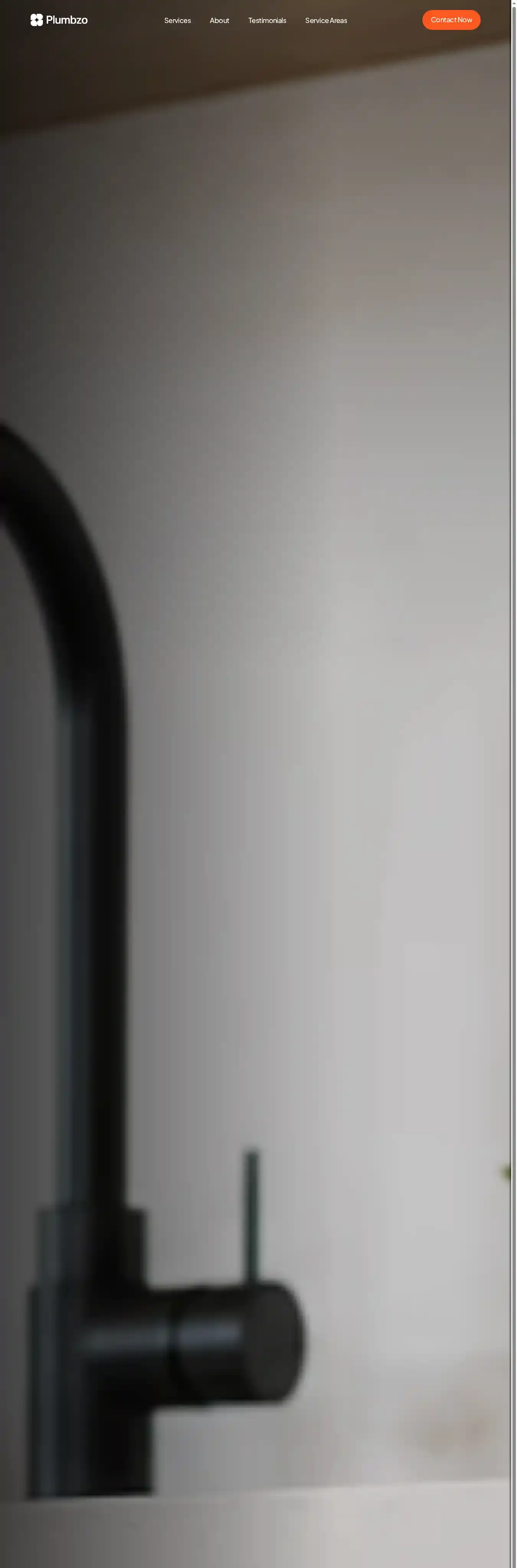 Plumbzo home page on desktop