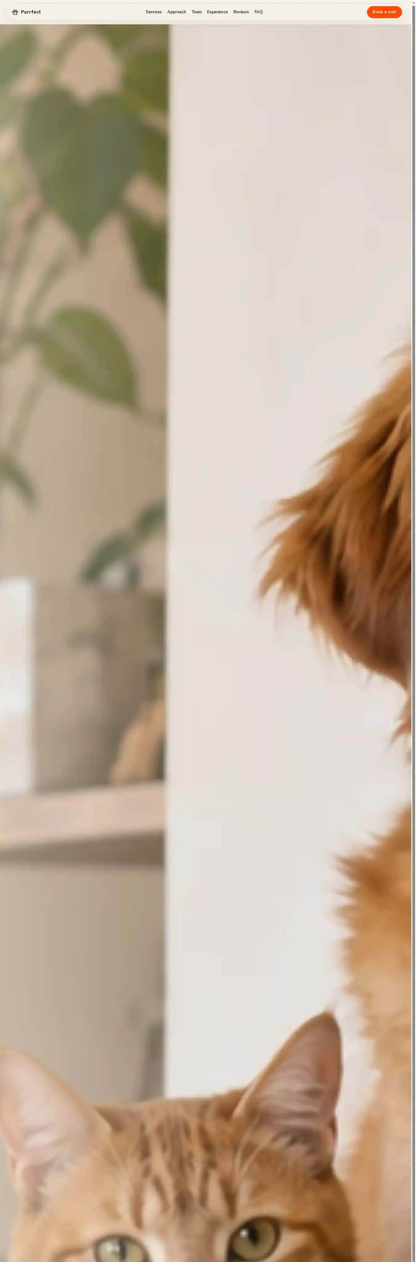 Purrfect home page on desktop