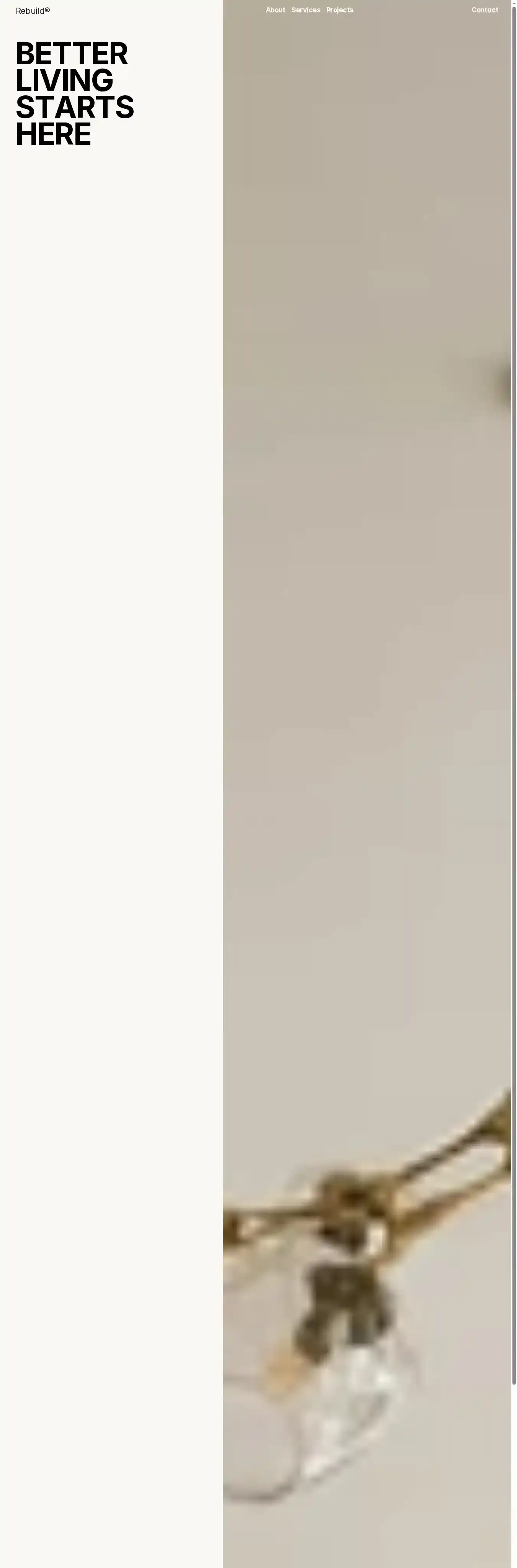 Rebuildd home page on desktop