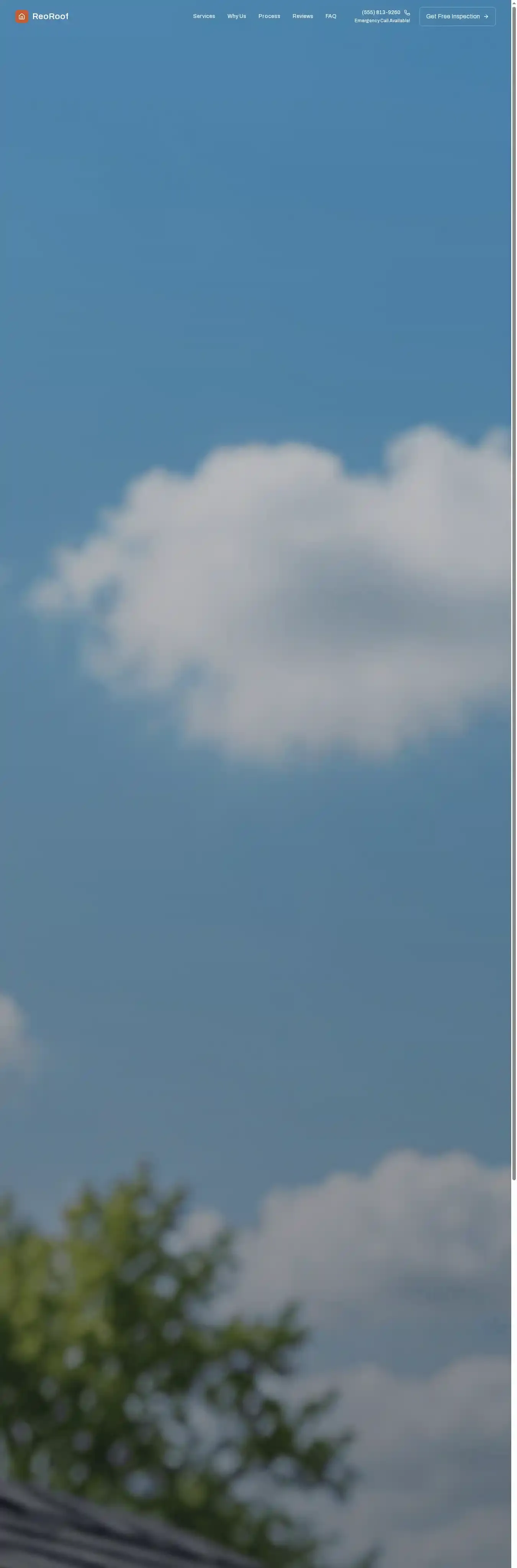 ReoRoof home page on desktop