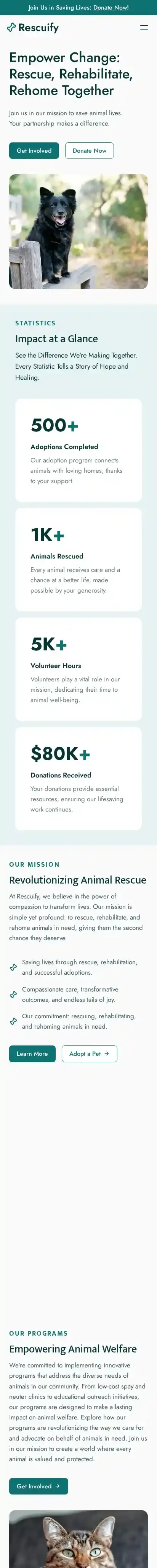Rescuify home page on mobile