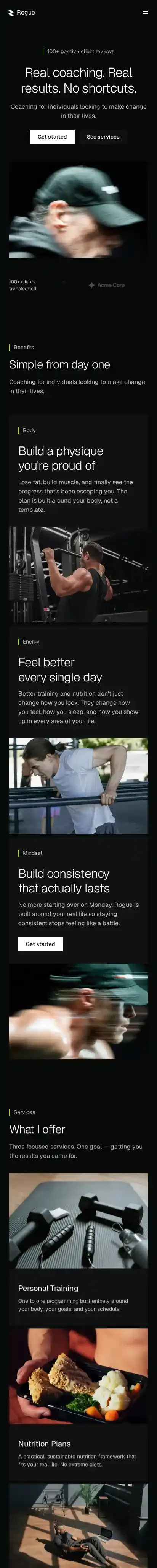 Rogue home page on mobile