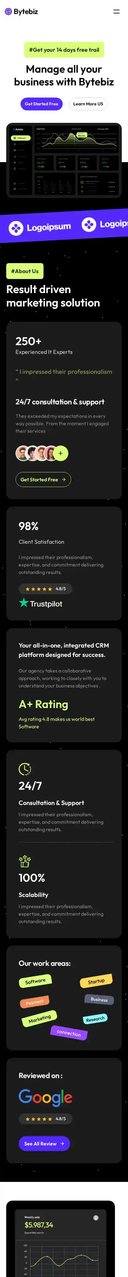 Bytebiz home page on mobile
