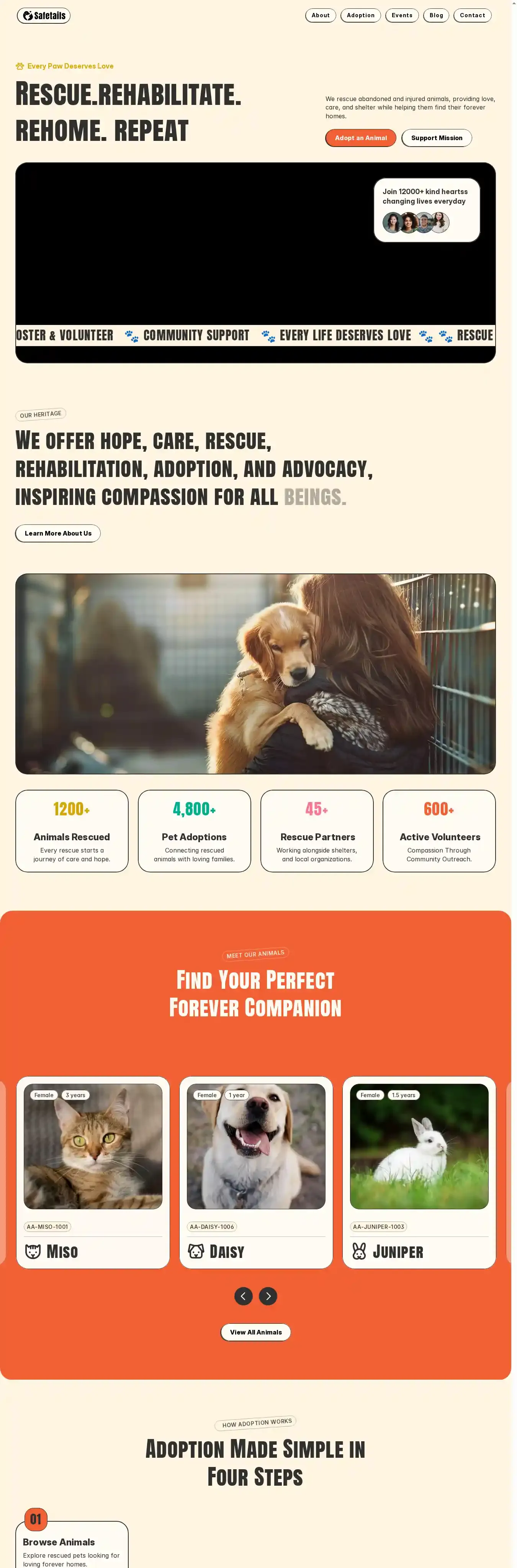 Safetails home page on desktop