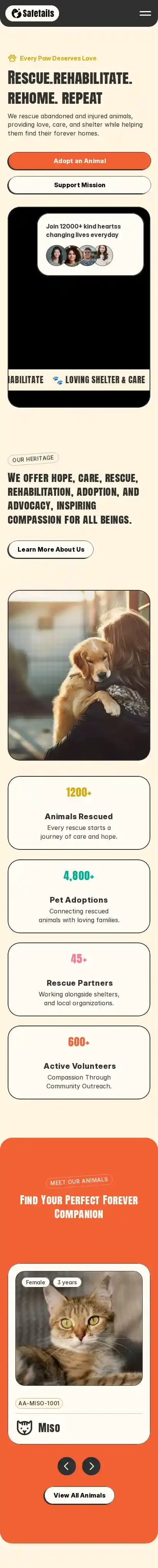 Safetails home page on mobile