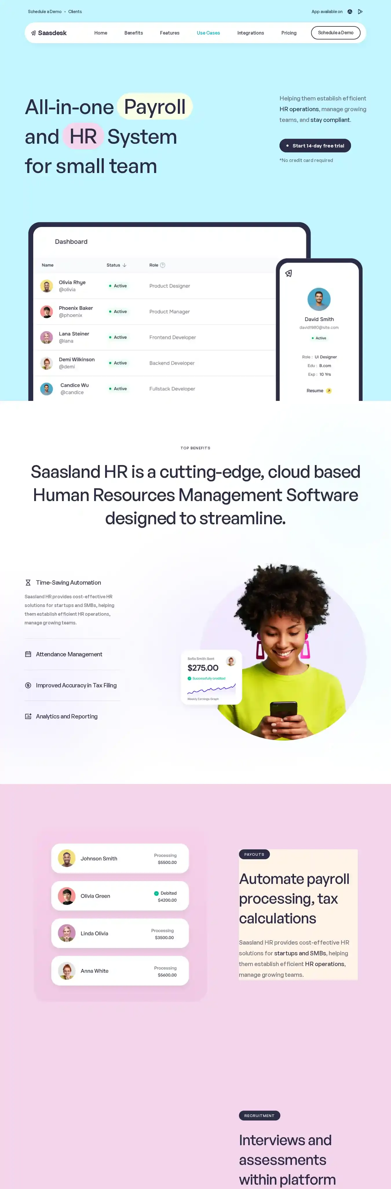 Sasdesk home page on desktop