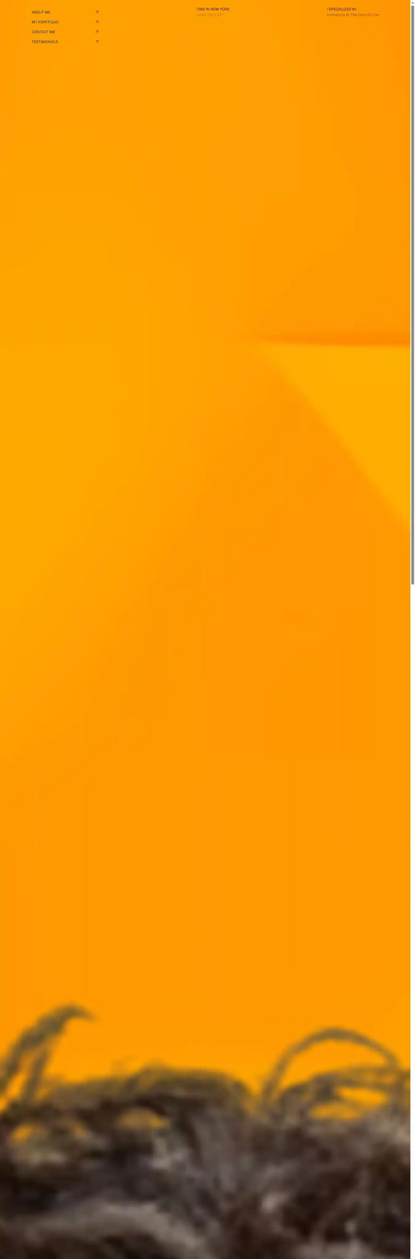 Selfolio home page on desktop