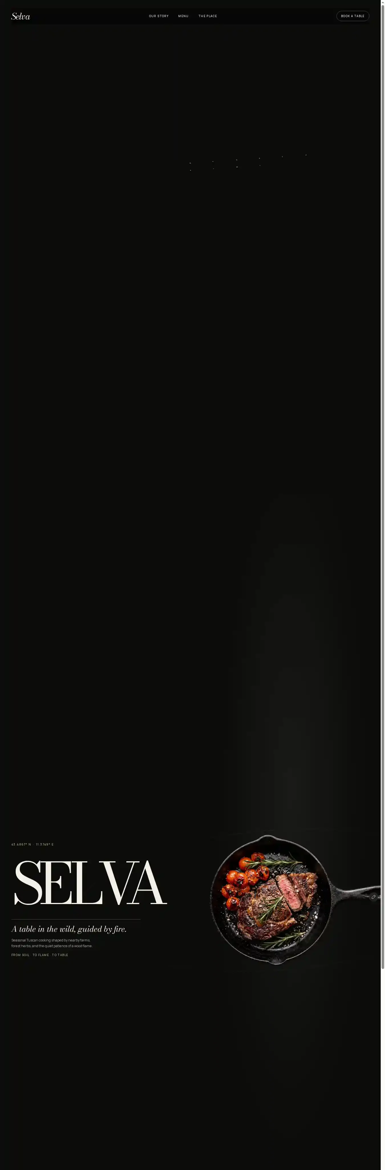 Selva home page on desktop