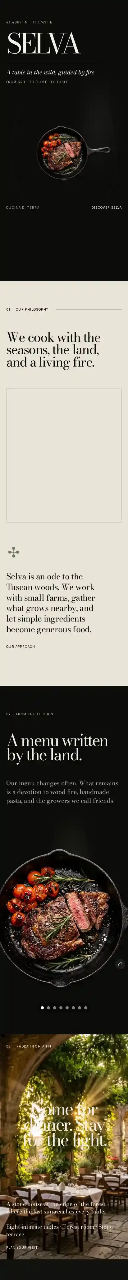 Selva home page on mobile