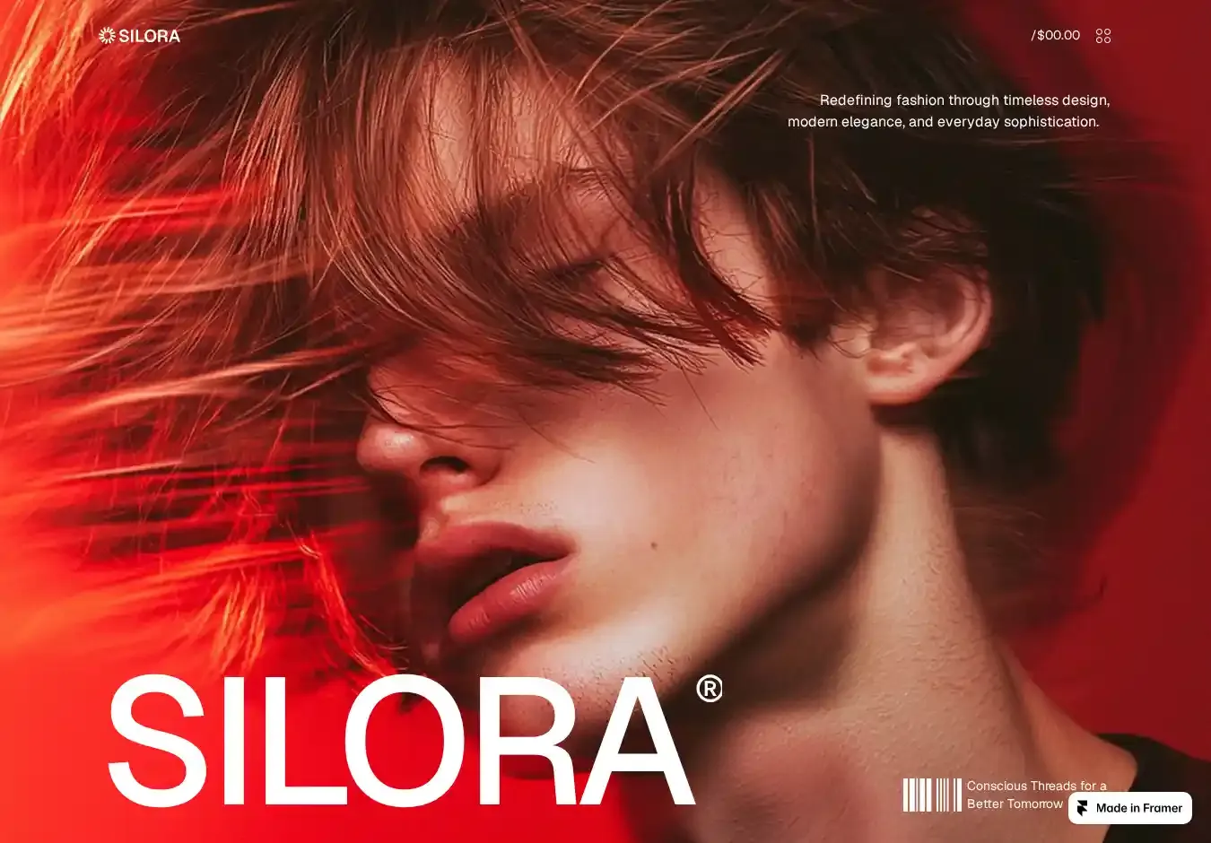 Silora home page on desktop