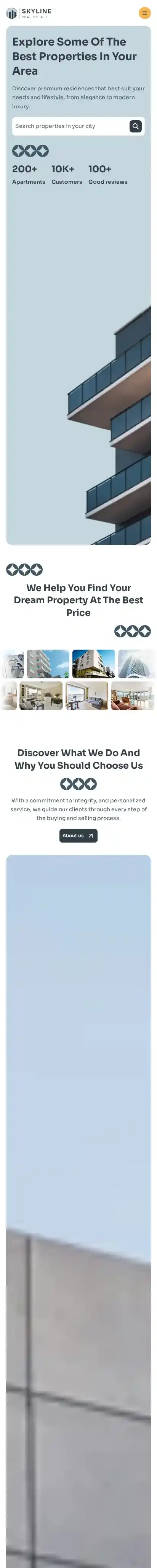 Skyline home page on mobile