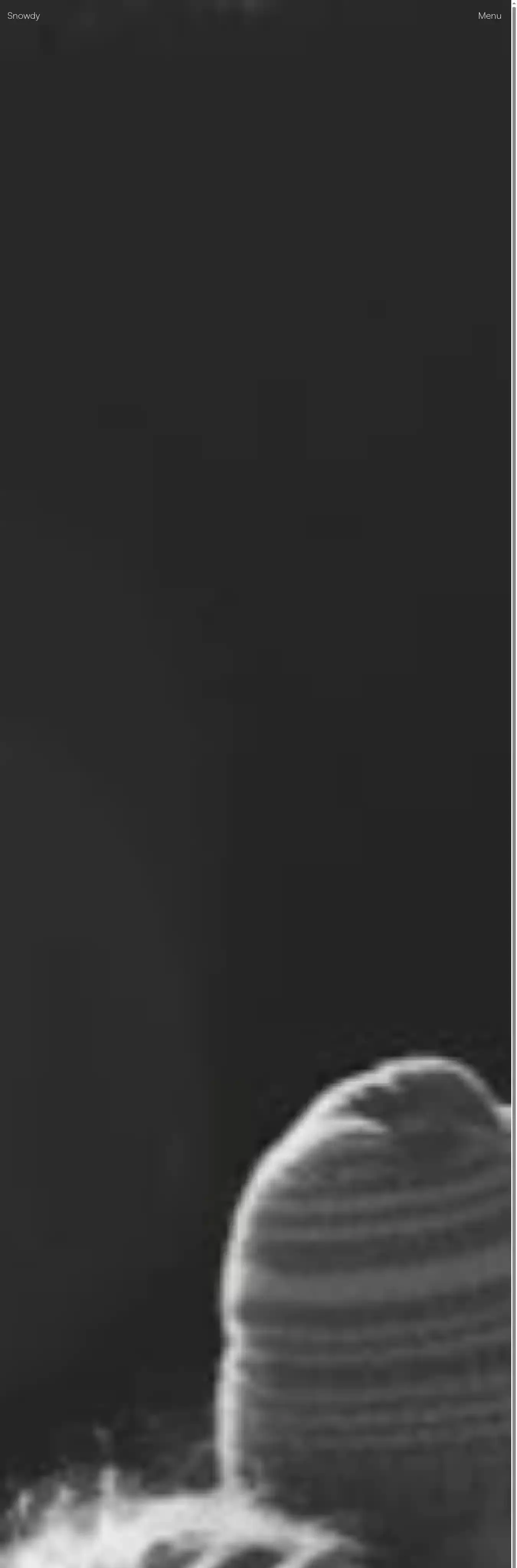 Snowdy home page on desktop