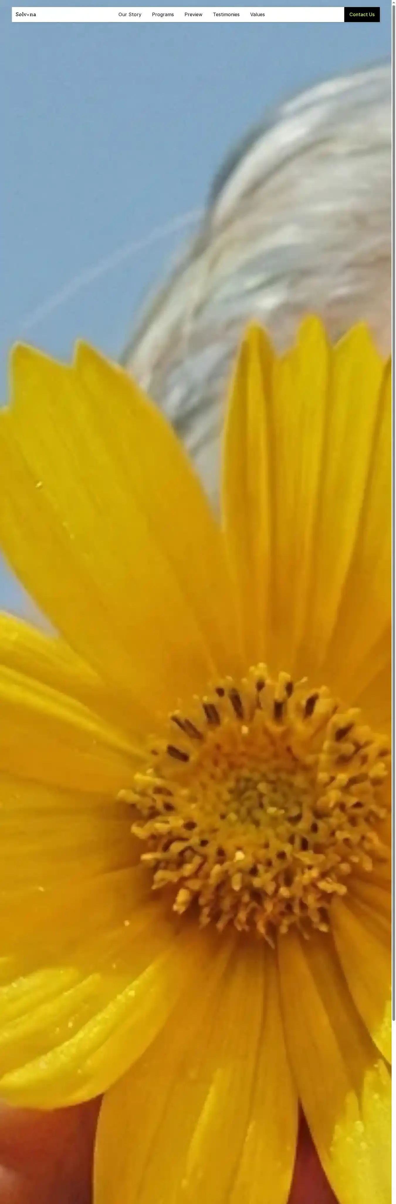 Solvana home page on desktop
