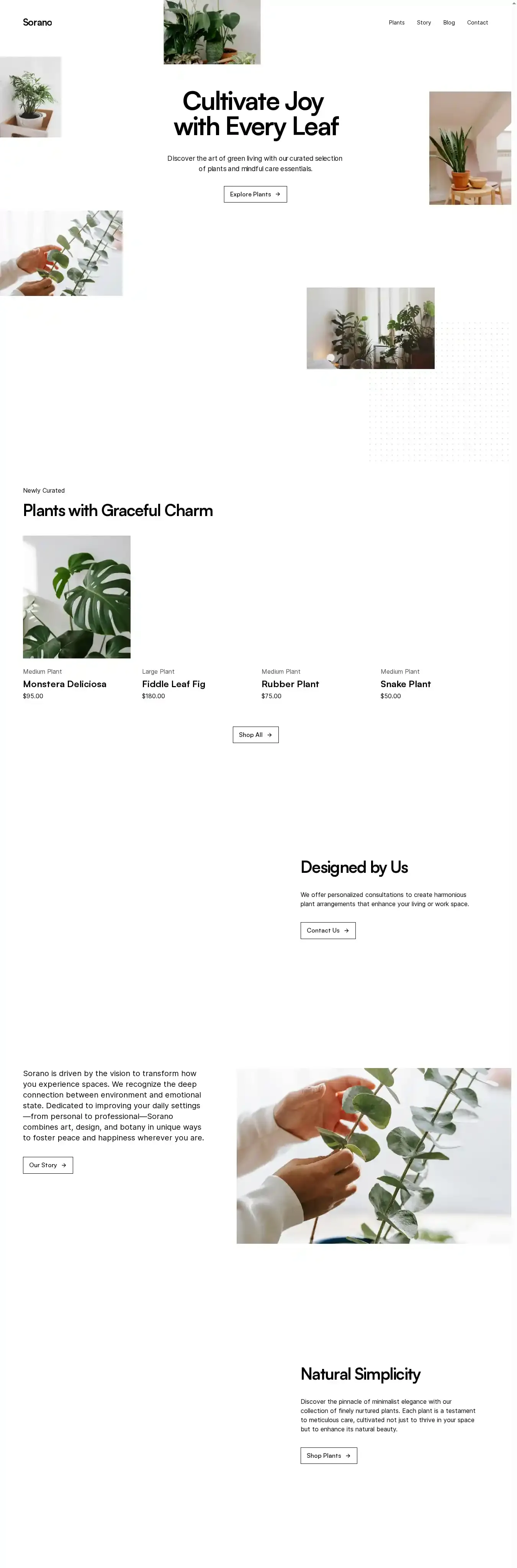 Sorano home page on desktop