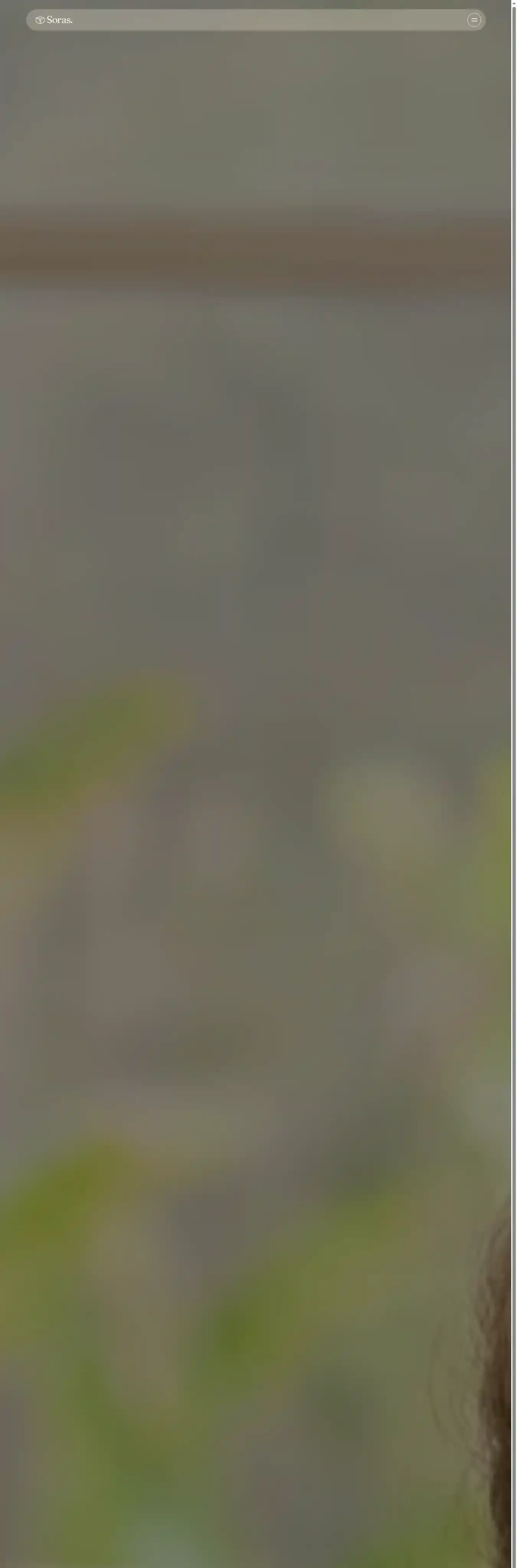 Soras home page on desktop