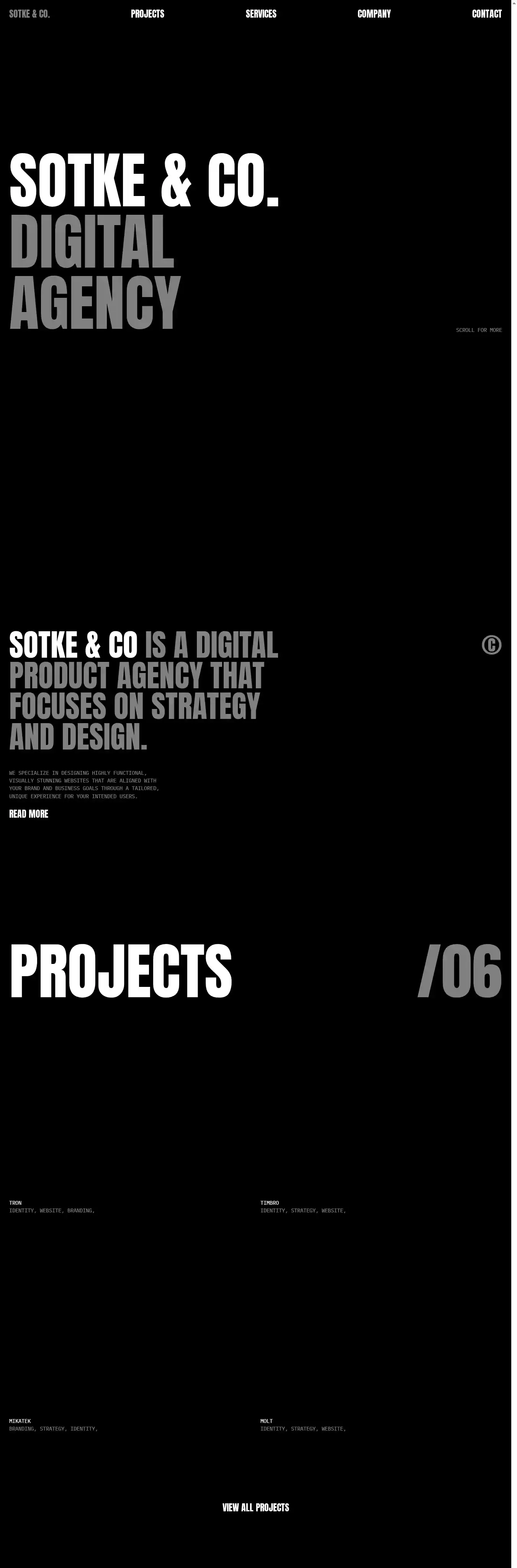 Sotke & Co home page on desktop