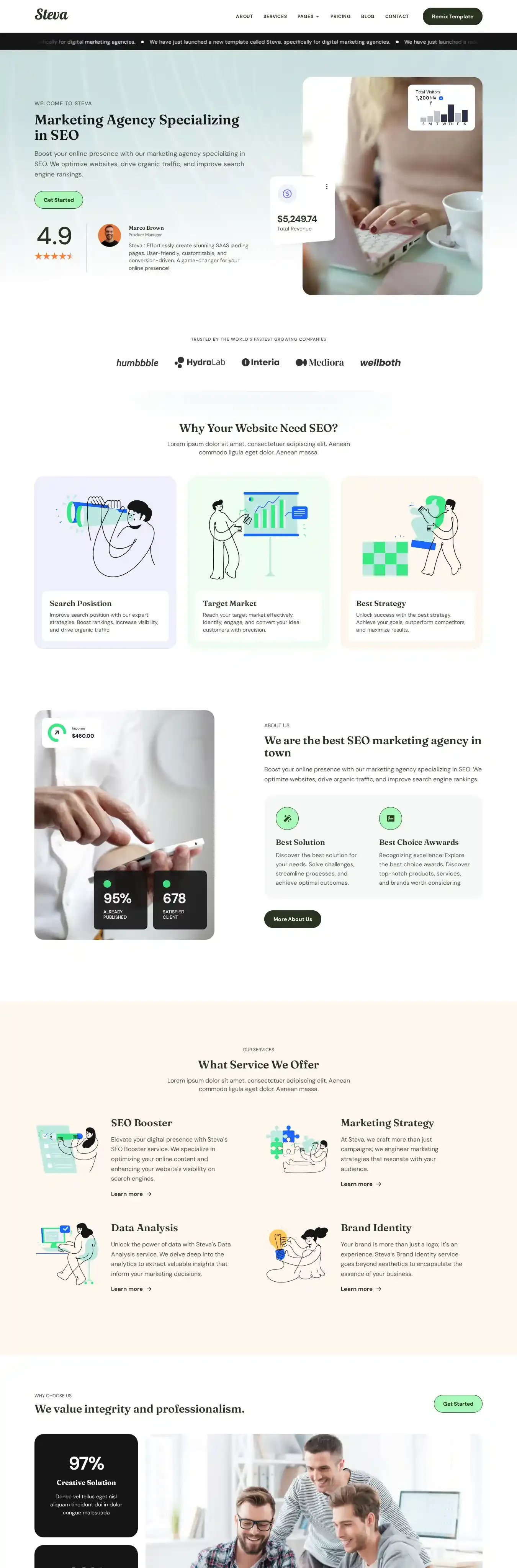 Steva home page on desktop