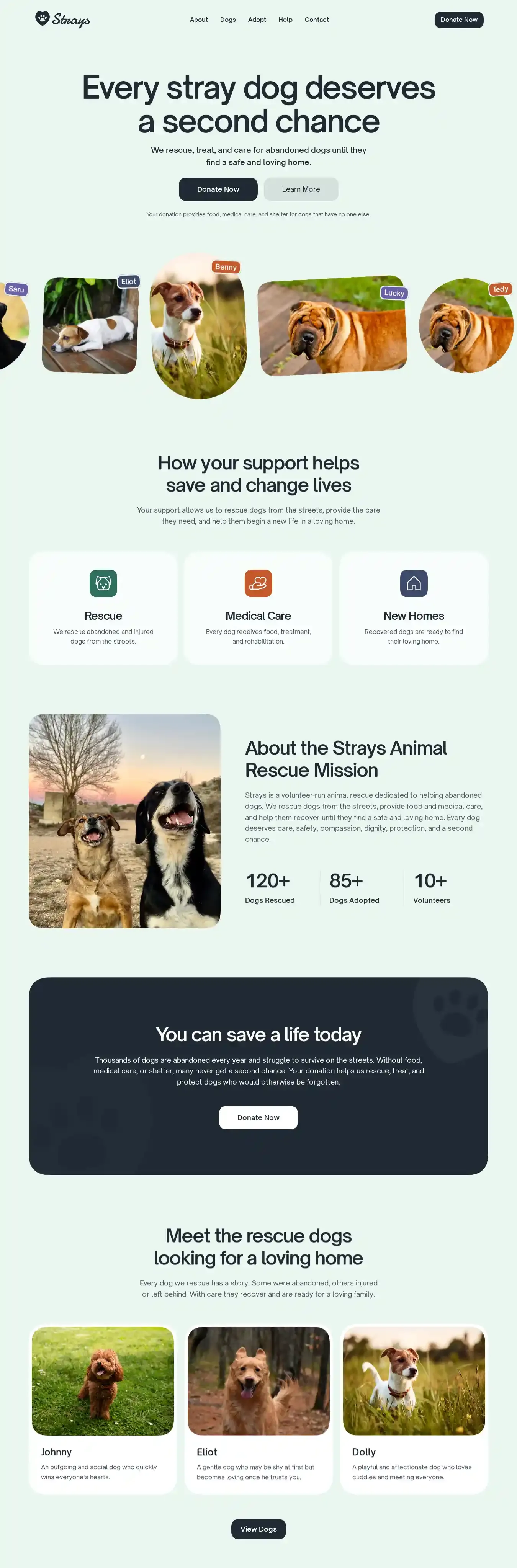 Strays home page on desktop