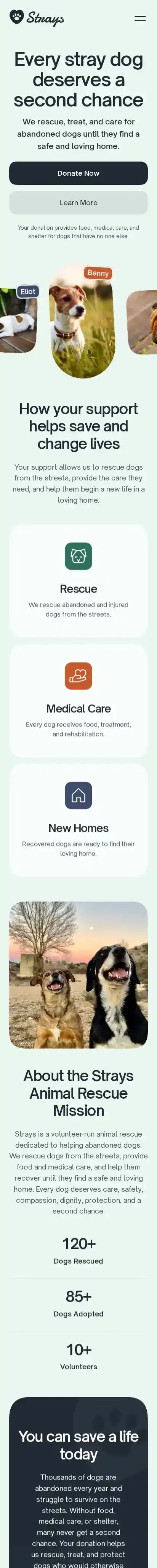 Strays home page on mobile