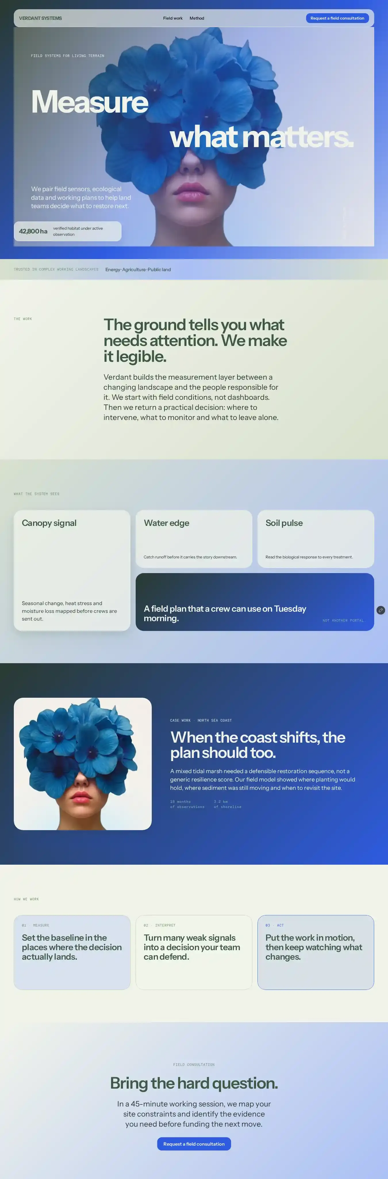 Terrabloom home page on desktop