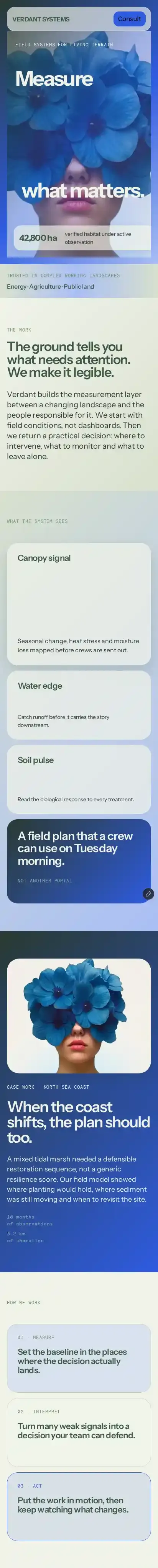Terrabloom home page on mobile