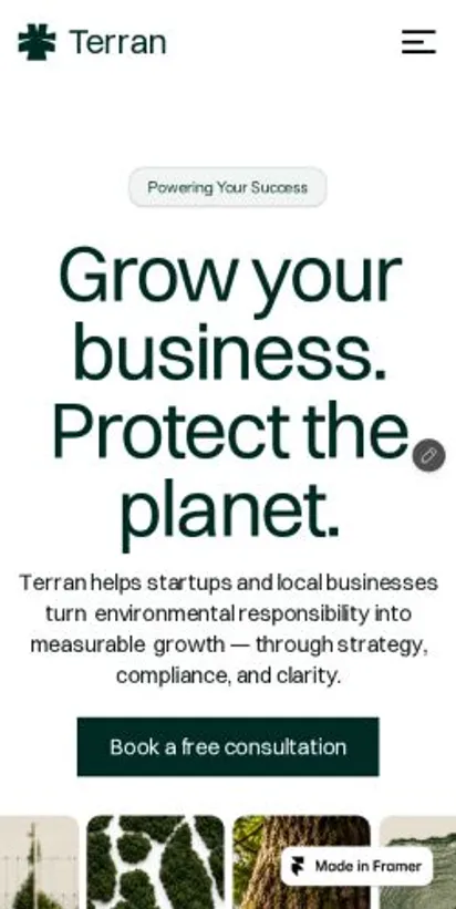 Terran home page on mobile