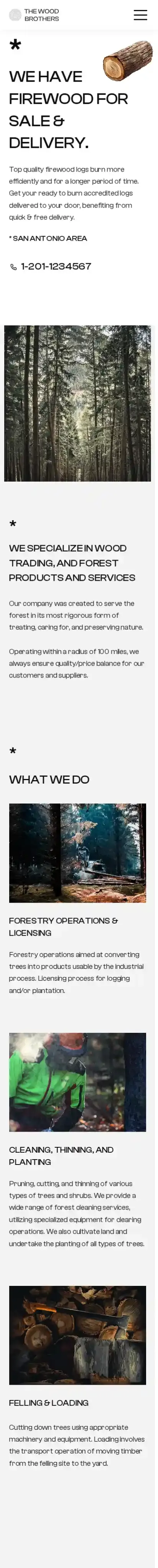TheWoodBros home page on mobile