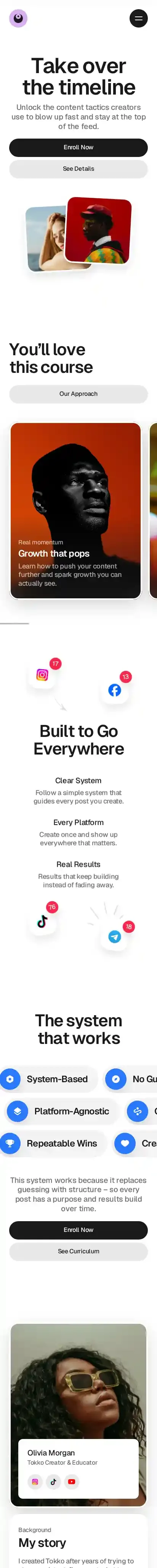 Tokko home page on mobile
