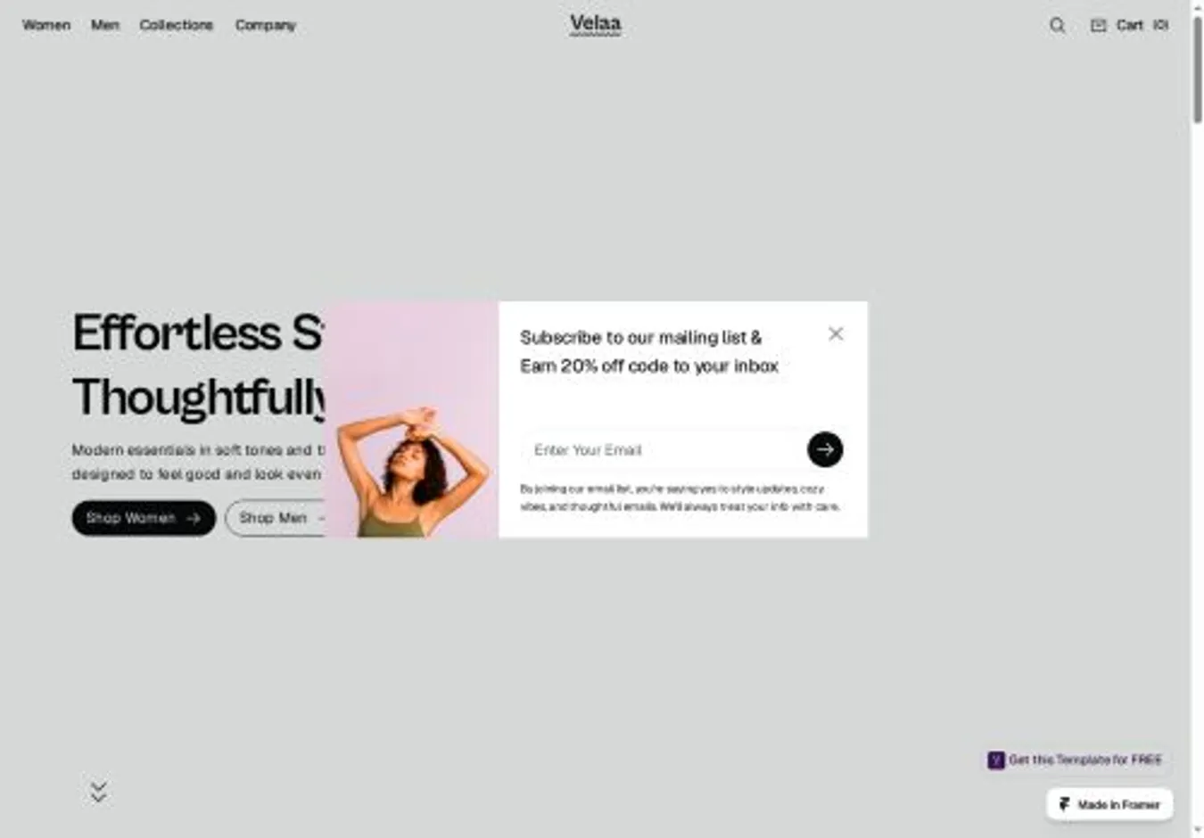 Velaa home page on desktop