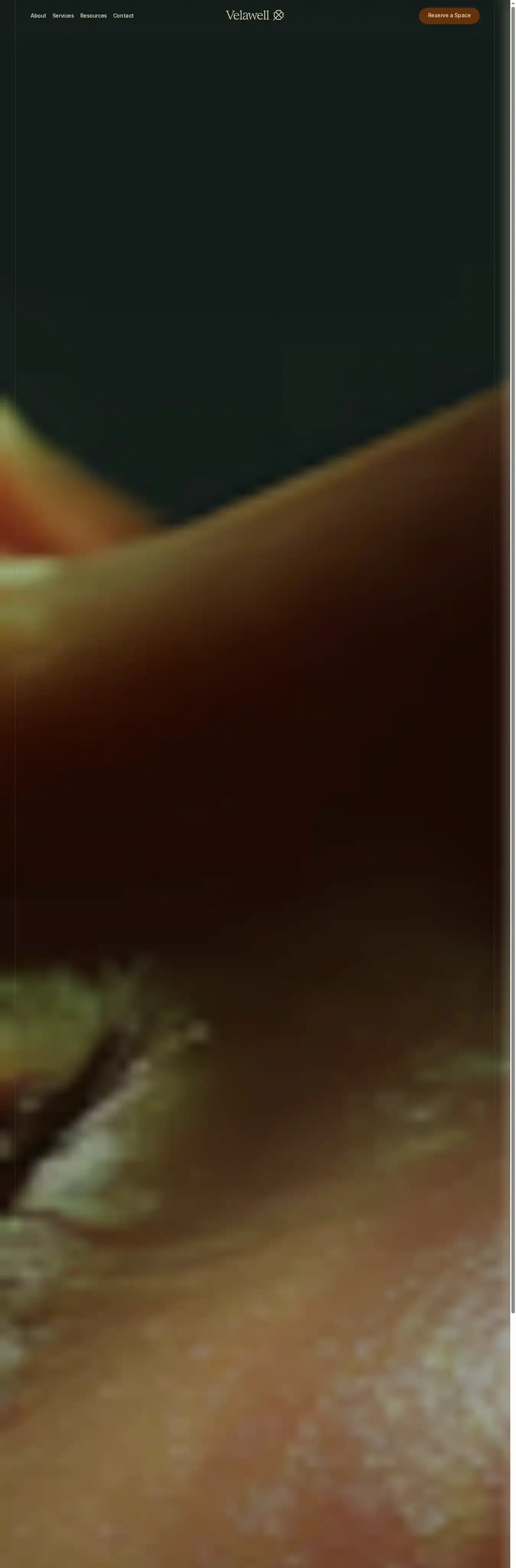Velawell home page on desktop