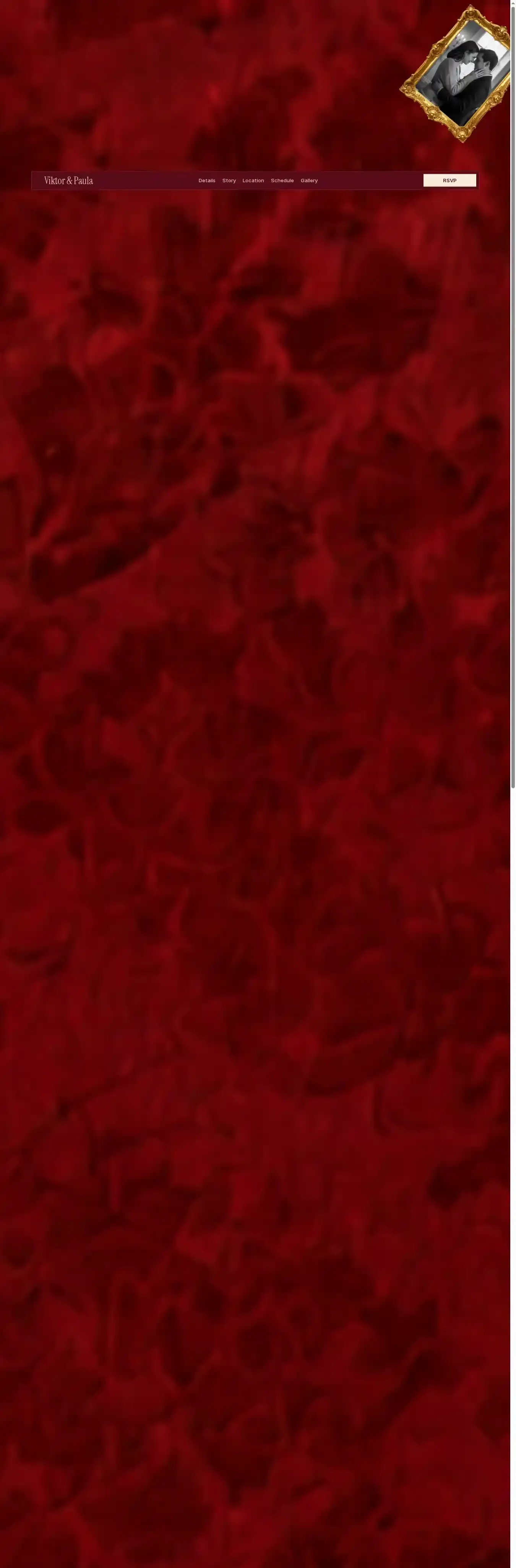 Velvet promise home page on desktop