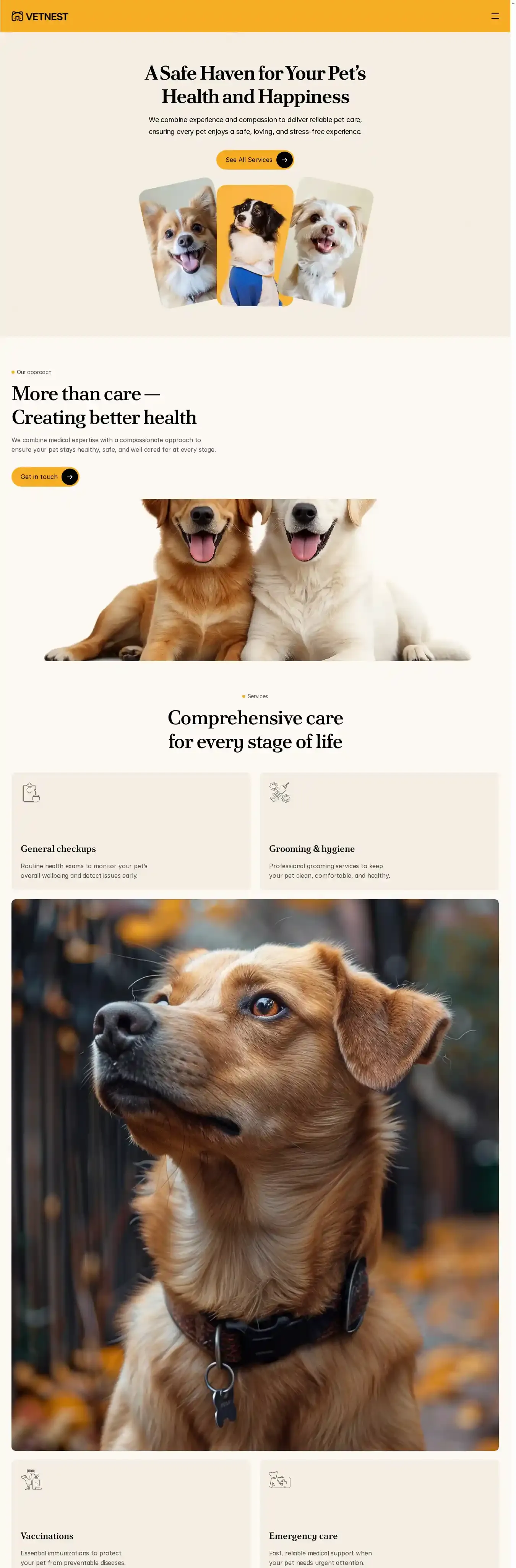 Vetnest home page on desktop