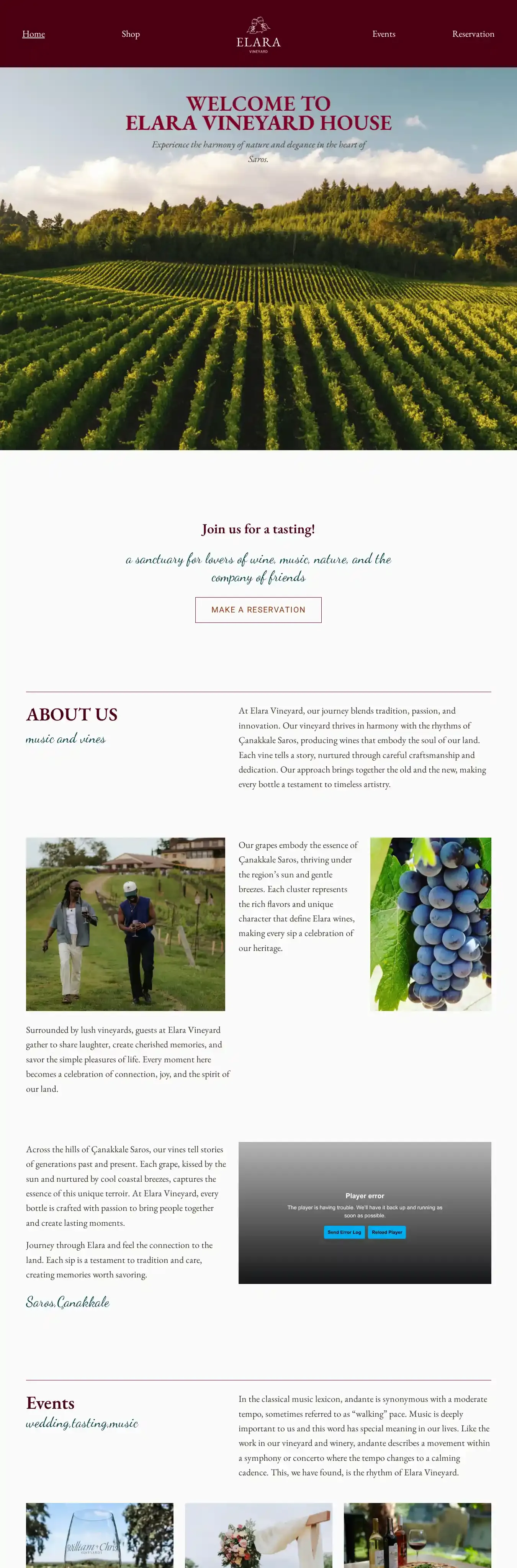 Vineyard home page on desktop