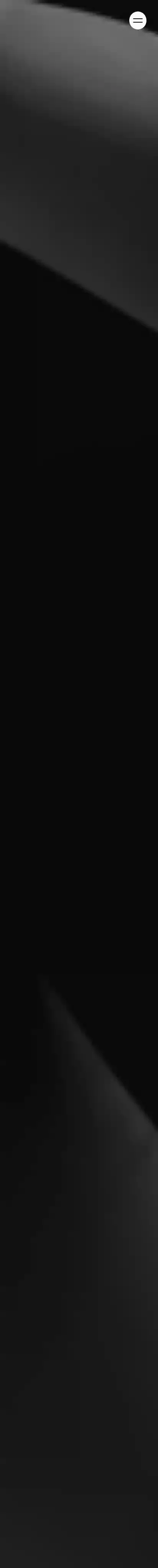 Visionary home page on mobile