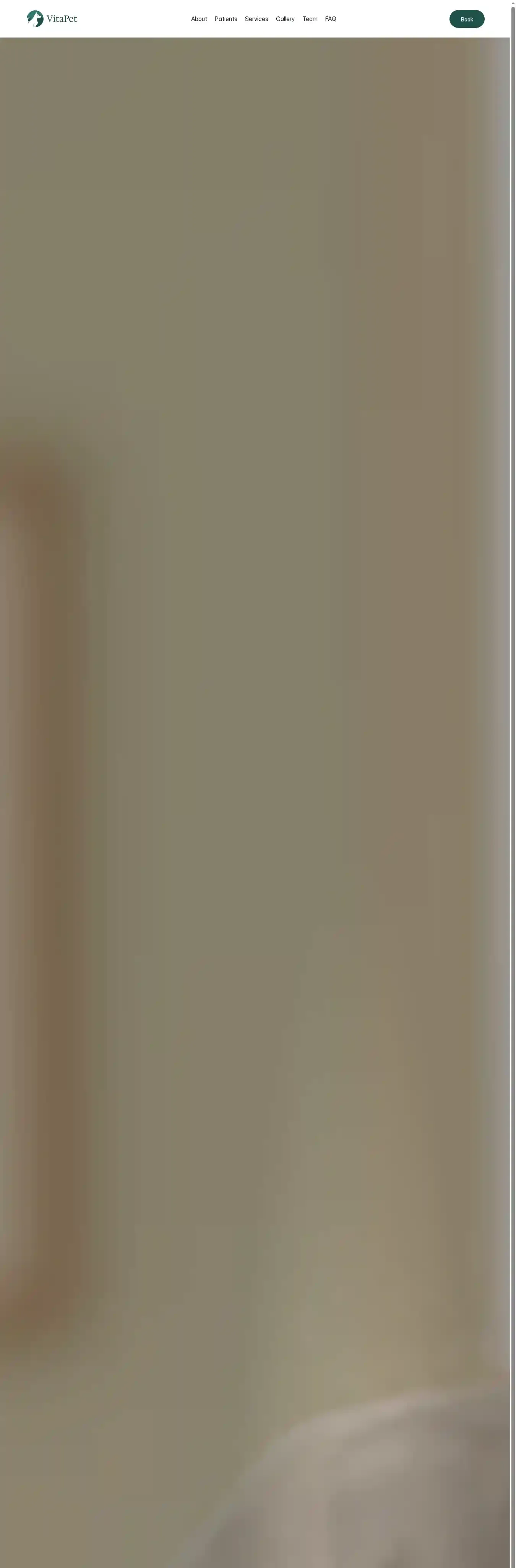 VitaPet home page on desktop