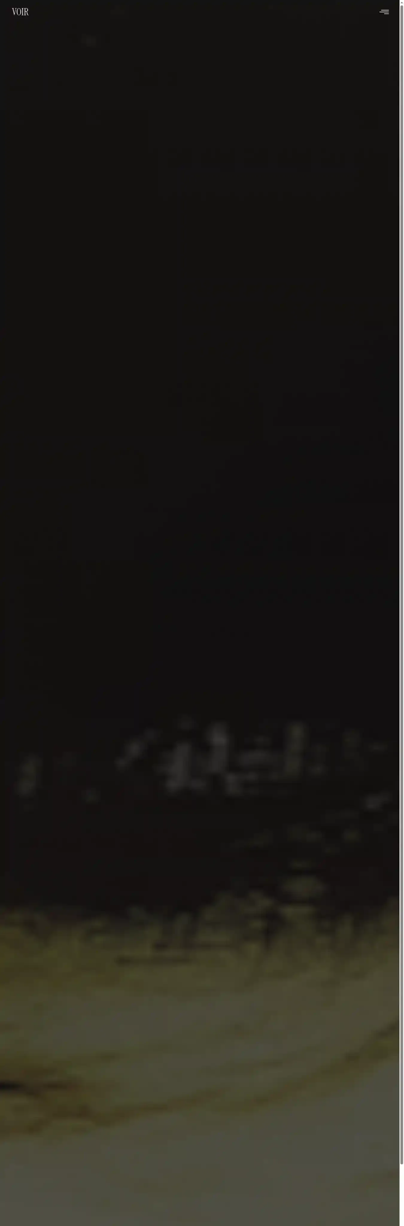 VOIR home page on desktop