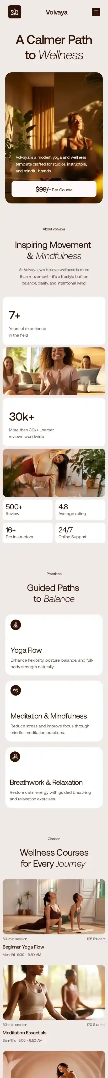 Volvaya home page on mobile